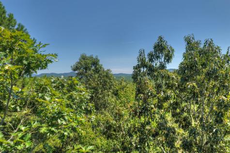 48.4AC Lofty Heights Mineral Bluff GA 30559