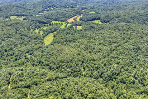 48.4AC Lofty Heights Mineral Bluff GA 30559