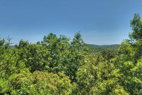 48.4AC Lofty Heights Mineral Bluff GA 30559