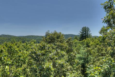 48.4AC Lofty Heights Mineral Bluff GA 30559