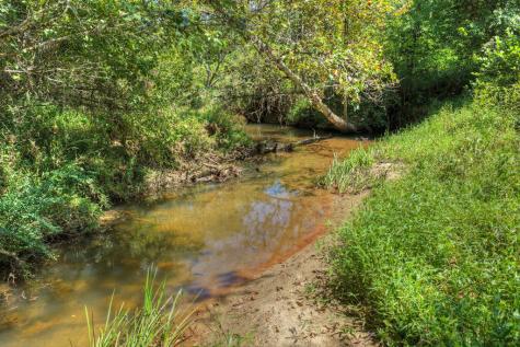48.4AC Lofty Heights Mineral Bluff GA 30559