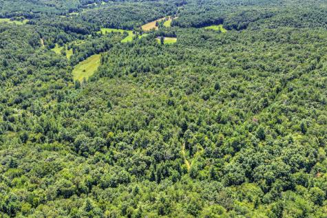 48.4AC Lofty Heights Mineral Bluff GA 30559