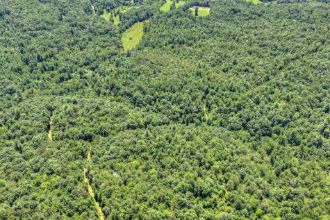 48.4AC Lofty Heights Mineral Bluff GA 30559
