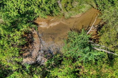 48.4AC Lofty Heights Mineral Bluff GA 30559