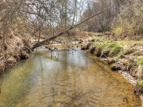 48.4AC Lofty Heights Mineral Bluff GA 30559
