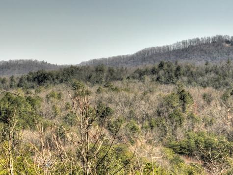48.4AC Lofty Heights Mineral Bluff GA 30559