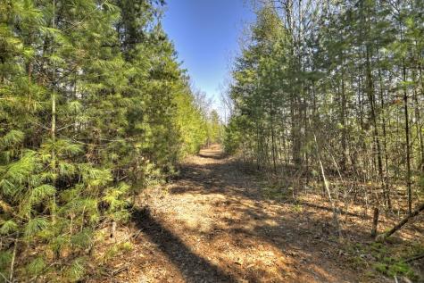 48.4AC Lofty Heights Mineral Bluff GA 30559