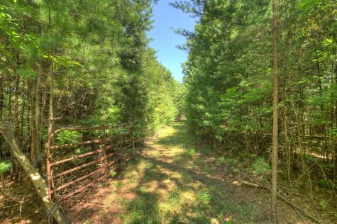 48.4AC Lofty Heights Mineral Bluff GA 30559