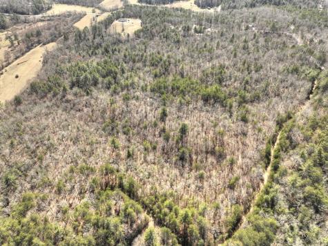 48.4AC Lofty Heights Mineral Bluff GA 30559