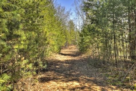 48.4AC Lofty Heights Mineral Bluff GA 30559