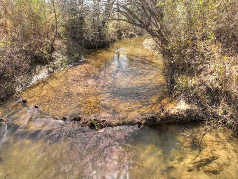 48.4AC Lofty Heights Mineral Bluff GA 30559