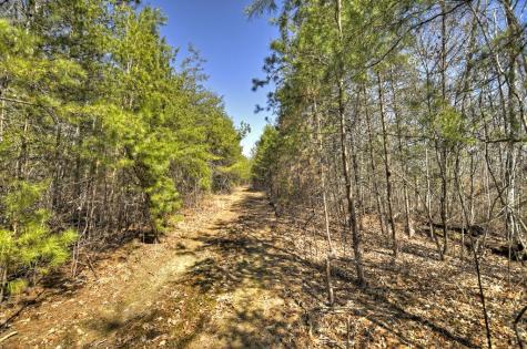 48.4AC Lofty Heights Mineral Bluff GA 30559