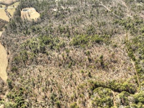 48.4AC Lofty Heights Mineral Bluff GA 30559