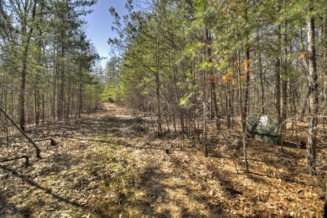 48.4AC Lofty Heights Mineral Bluff GA 30559