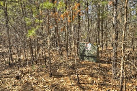 48.4AC Lofty Heights Mineral Bluff GA 30559