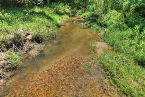48.4AC Lofty Heights Mineral Bluff GA 30559