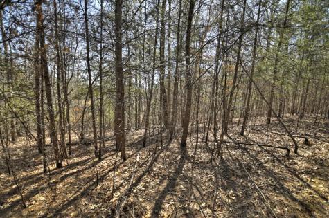 48.4AC Lofty Heights Mineral Bluff GA 30559
