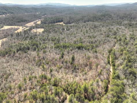 48.4AC Lofty Heights Mineral Bluff GA 30559