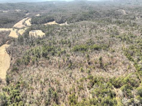 48.4AC Lofty Heights Mineral Bluff GA 30559