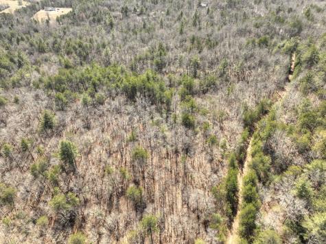 48.4AC Lofty Heights Mineral Bluff GA 30559