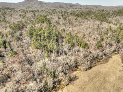 48.4AC Lofty Heights Mineral Bluff GA 30559