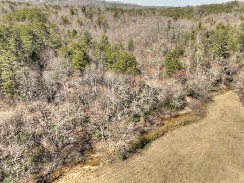 48.4AC Lofty Heights Mineral Bluff GA 30559
