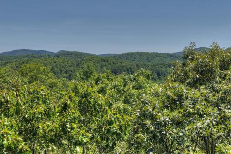 48.4AC Lofty Heights Mineral Bluff GA 30559