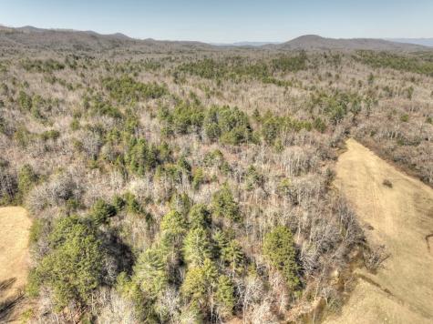 48.4AC Lofty Heights Mineral Bluff GA 30559