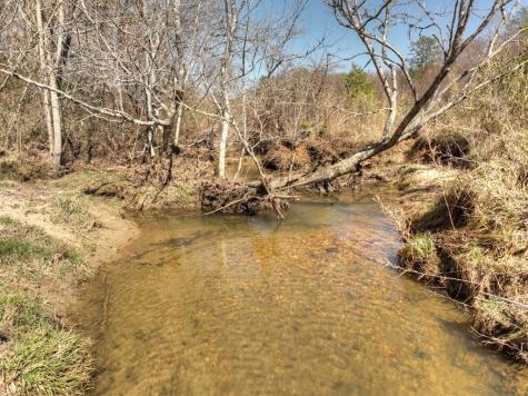 48.4AC Lofty Heights Mineral Bluff GA 30559