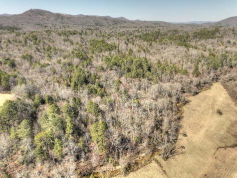 48.4AC Lofty Heights Mineral Bluff GA 30559