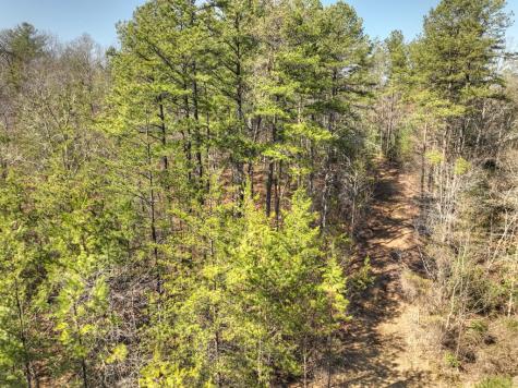 48.4AC Lofty Heights Mineral Bluff GA 30559