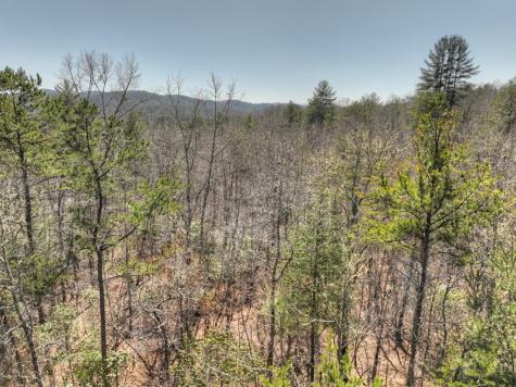 48.4AC Lofty Heights Mineral Bluff GA 30559