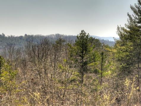 48.4AC Lofty Heights Mineral Bluff GA 30559