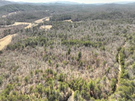 48.4AC Lofty Heights Mineral Bluff GA 30559