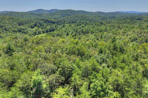 48.4AC Lofty Heights Mineral Bluff GA 30559