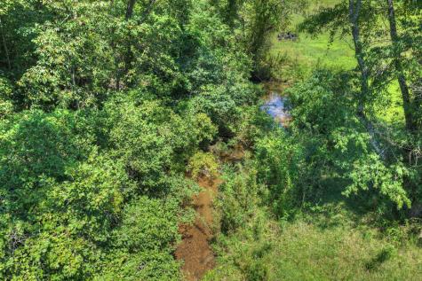 48.4AC Lofty Heights Mineral Bluff GA 30559