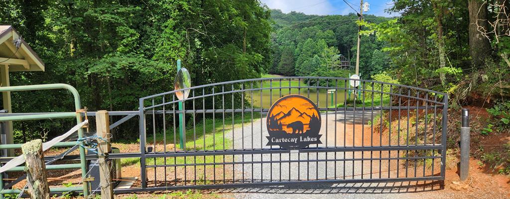 LT51LT52 Buena Vista Drive Ellijay GA 30536