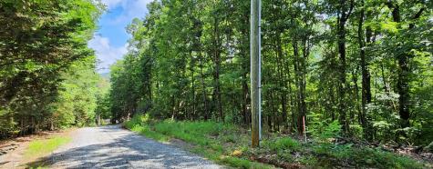 LT51LT52 Buena Vista Drive Ellijay GA 30536