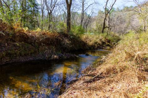 0 Pine Grove Mccaysville GA 30513