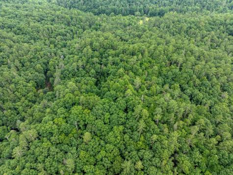 5846 Gates Chapel Road Ellijay GA 30540