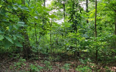 29 Oak Ridge North Hayesville NC 28904