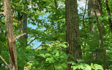 29 Oak Ridge North Hayesville NC 28904
