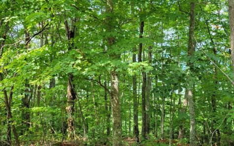 29 Oak Ridge North Hayesville NC 28904