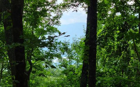 29 Oak Ridge North Hayesville NC 28904