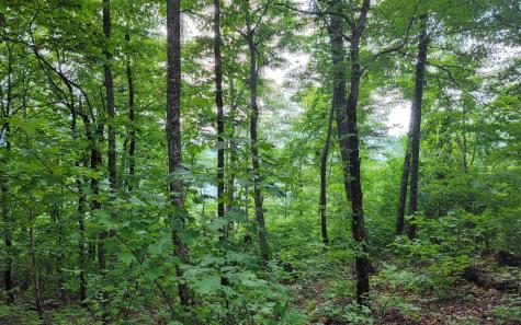 29 Oak Ridge North Hayesville NC 28904