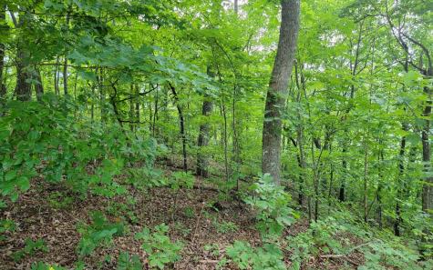 29 Oak Ridge North Hayesville NC 28904