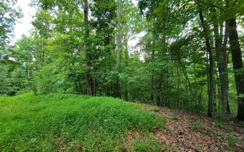 29 Oak Ridge North Hayesville NC 28904