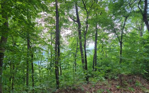 29 Oak Ridge North Hayesville NC 28904