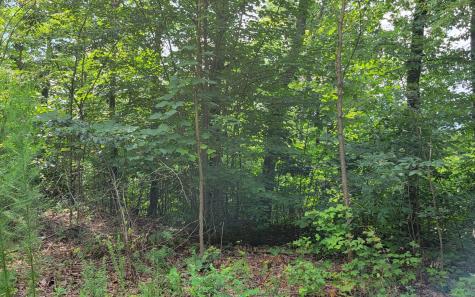 29 Oak Ridge North Hayesville NC 28904
