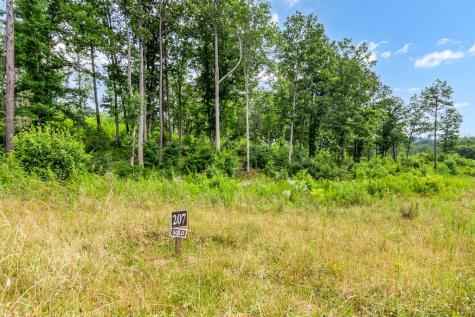 Lot 207 Oak Park Drive Talking Rock GA 30175
